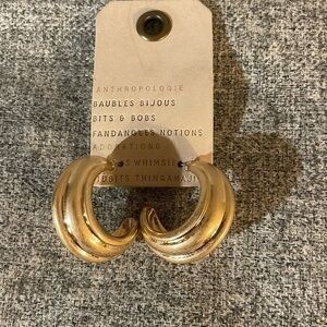 Anthropologie Hooped Earrings. NEW